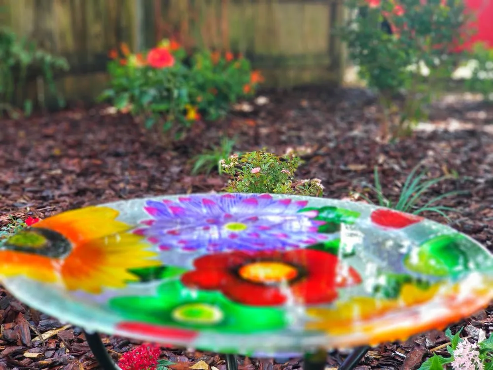 Local lawn care service in Lutz, FL by Design Scapes by Robert Draper