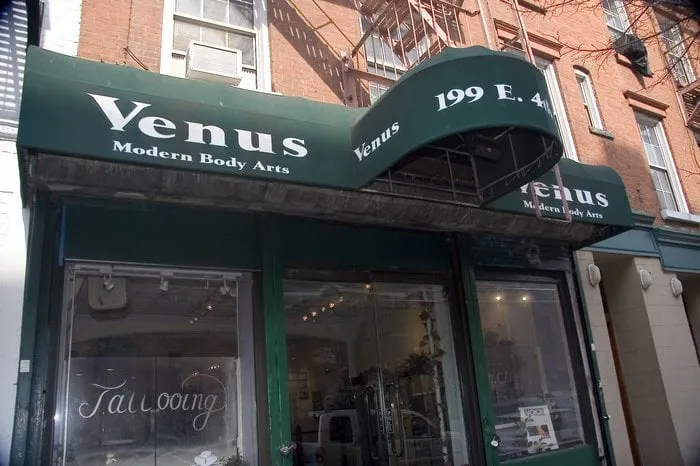 Professional landscape installation for year-round maintenance across Lutz, FL - Design Scapes by Robert Draper