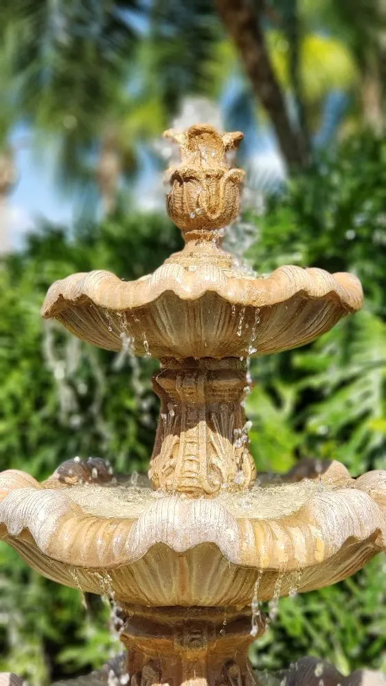 Local landscape installation for year-round maintenance in Lutz, FL by Design Scapes by Robert Draper