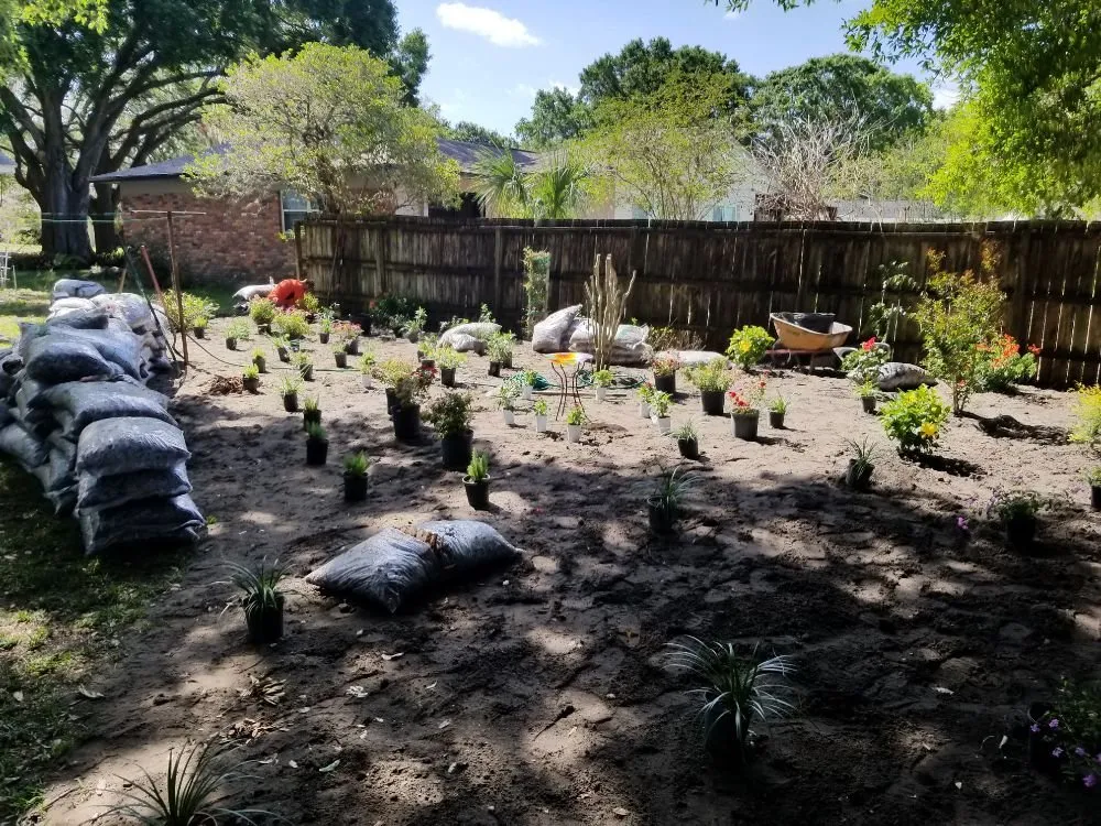 Local landscape design for residential properties across Lutz, FL - Design Scapes by Robert Draper
