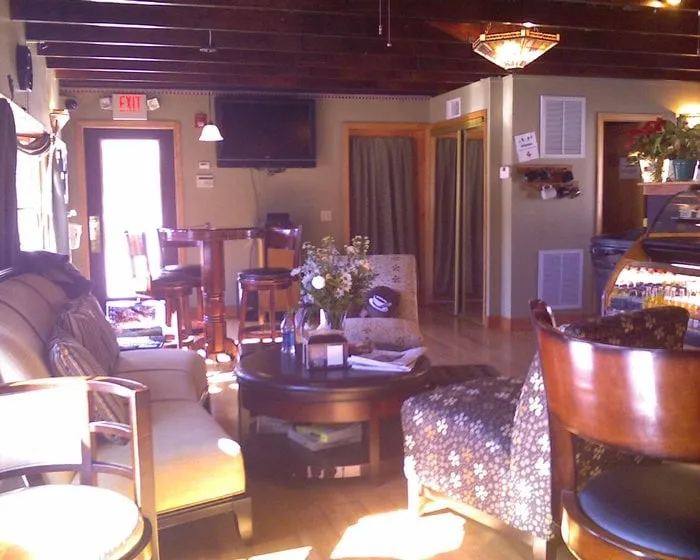 Local yard cleanup service experts serving Lutz, FL - Design Scapes by Robert Draper