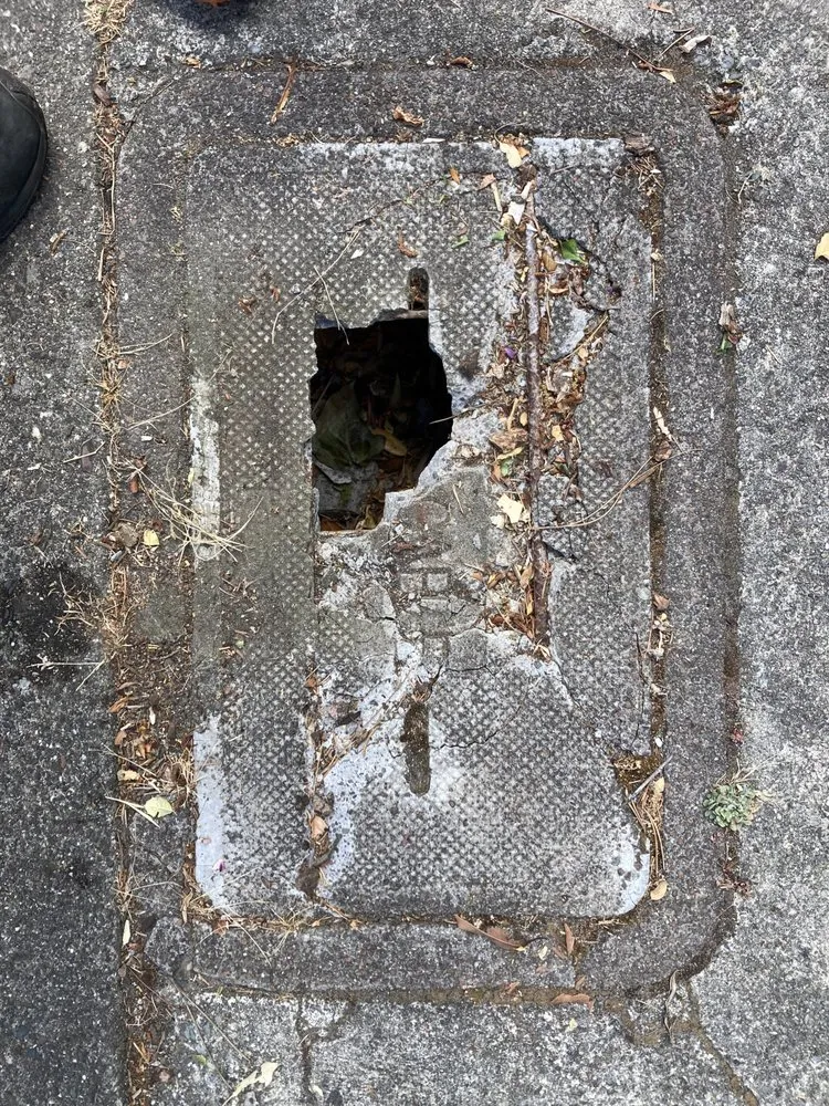 Custom lawn care service experts serving San Francisco, CA - Design Squares Landscaping