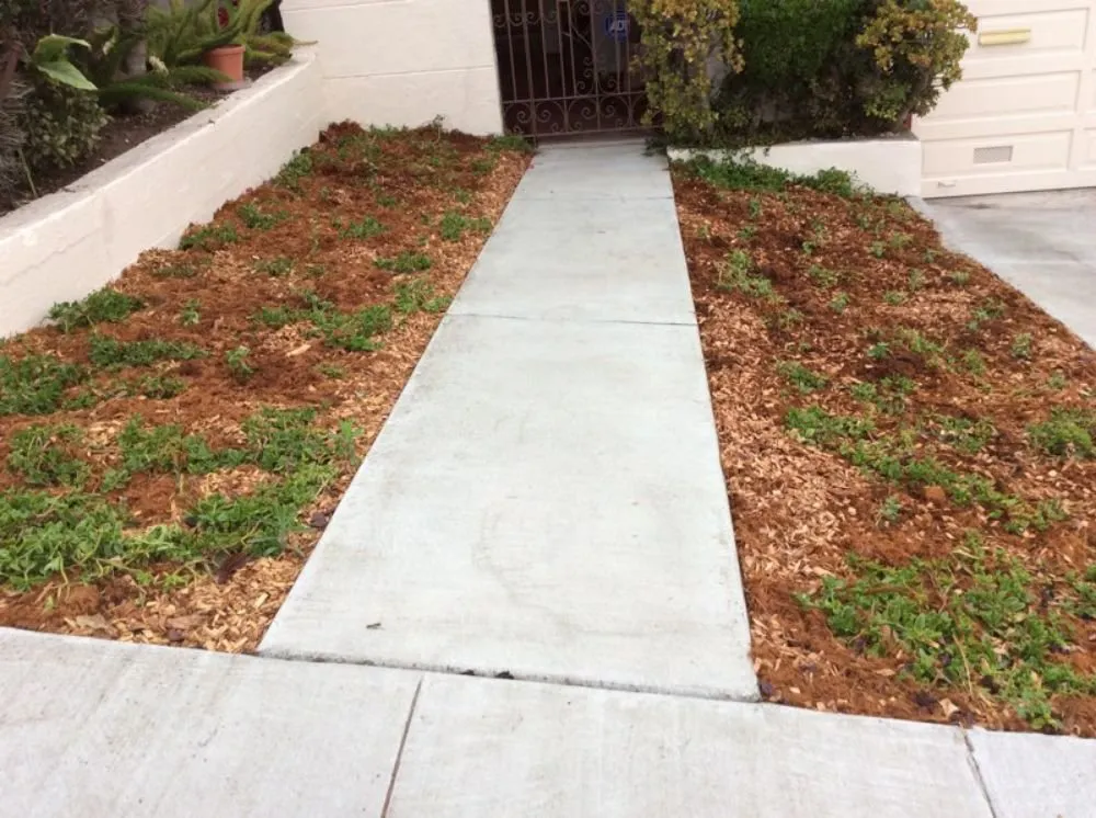 Expert yard cleanup service in San Francisco, CA by Design Squares Landscaping