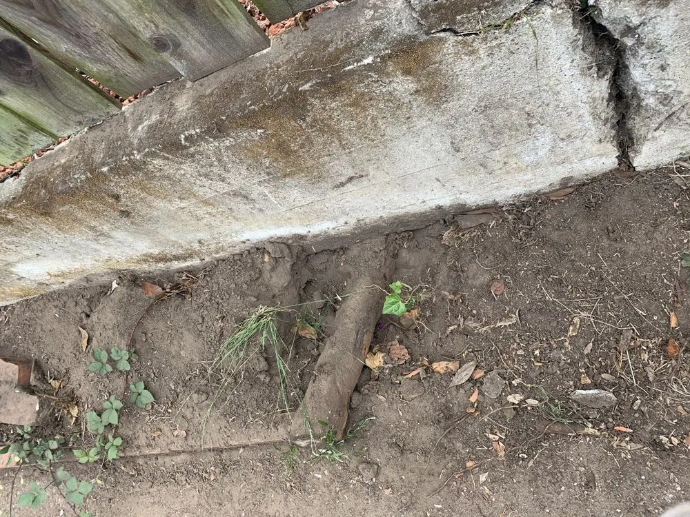 Custom lawn mowing service with custom design across San Francisco, CA - Design Squares Landscaping