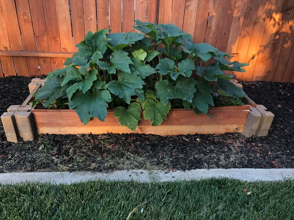 Trusted garden landscaping in San Francisco, CA by Design Squares Landscaping