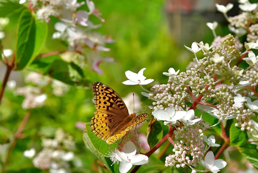 Top-rated outdoor landscaping experts serving Andes, NY - Design With Nature