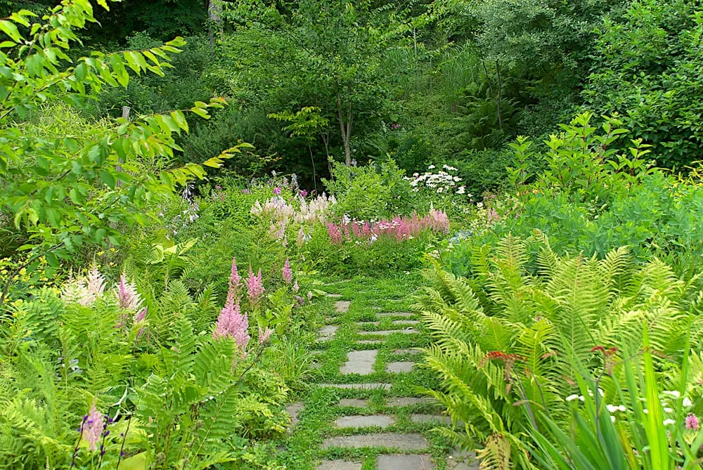 Trusted yard cleanup service near you in Andes, NY by Design With Nature