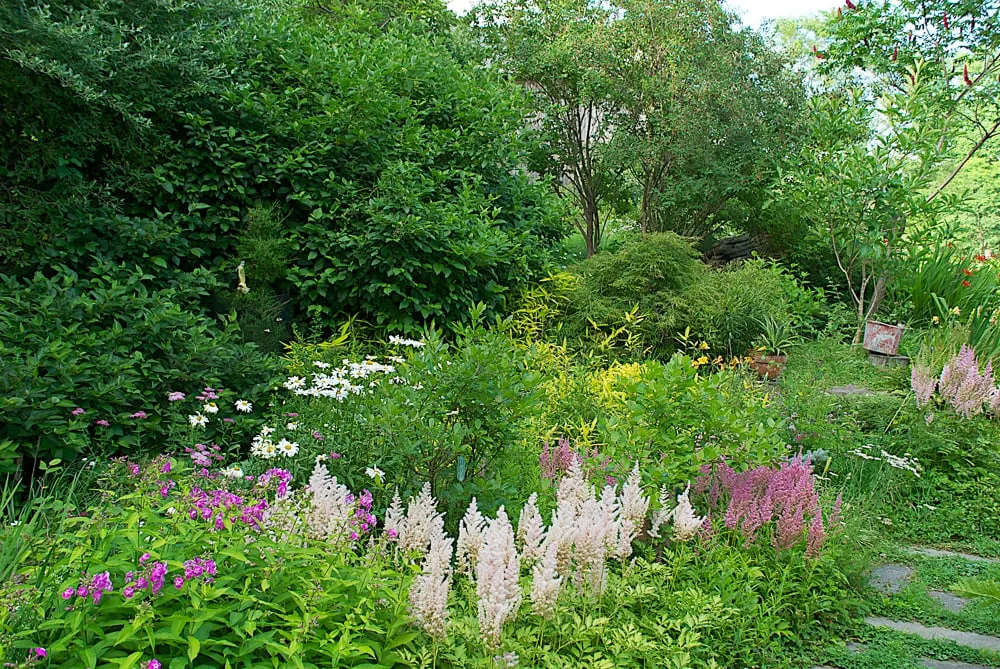 Professional yard cleanup service in Andes, NY by Design With Nature