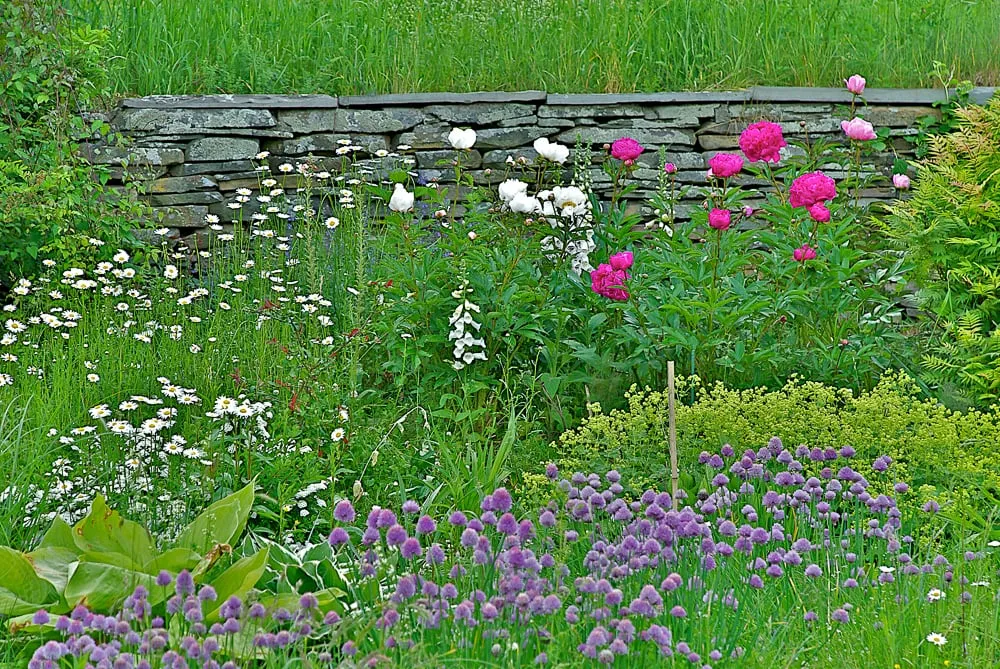 Expert yard maintenance in Andes, NY by Design With Nature