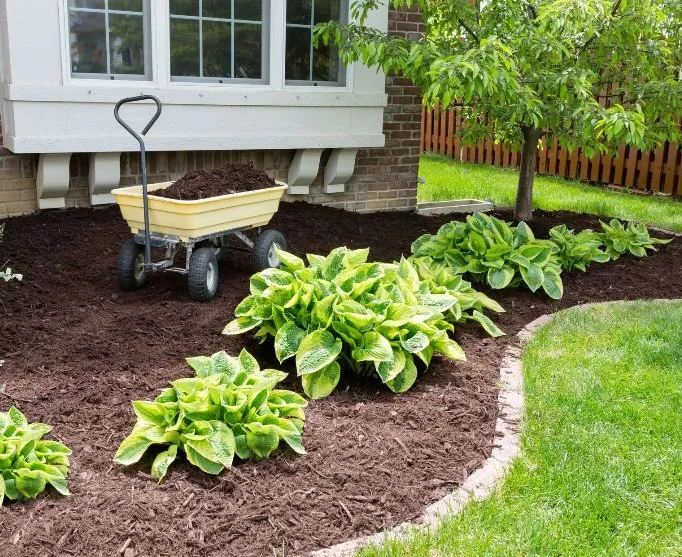 Expert residential landscaping experts serving Houston, TX - Design Yard Services