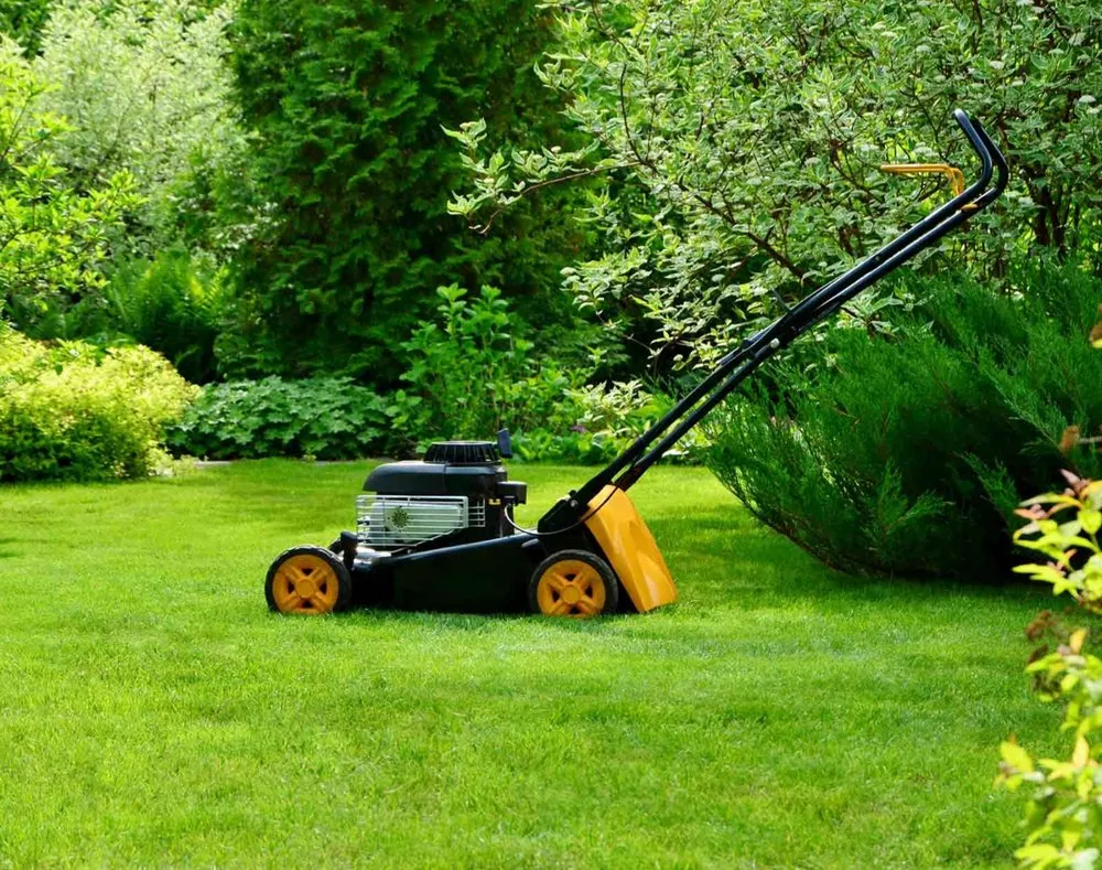 Expert landscaping services experts serving Houston, TX - Design Yard Services