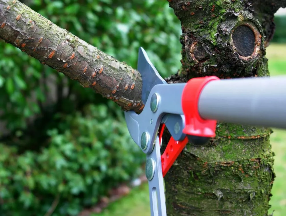 Expert lawn mowing service experts serving Houston, TX - Design Yard Services