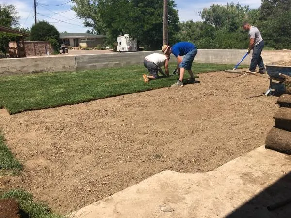 Affordable landscape installation near you in Colorado Springs, CO by Design/Build Landscapes of Colorado