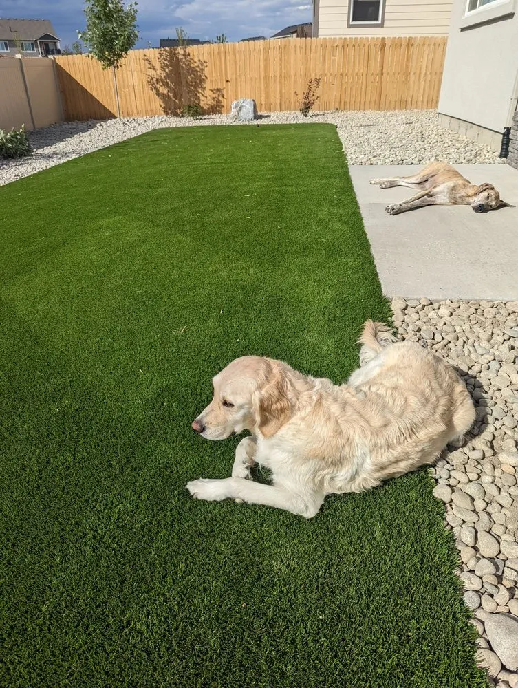 Top-rated landscape installation for beautiful yards across Colorado Springs, CO - Design/Build Landscapes of Colorado