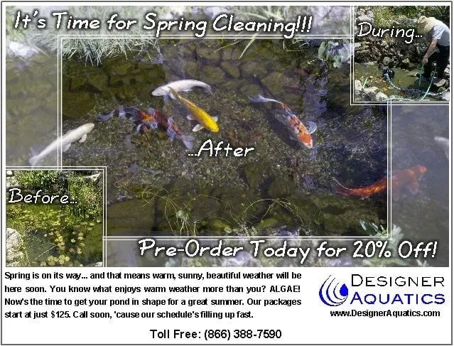 Reliable landscaping services in Camarillo, CA by Designer Aquatics