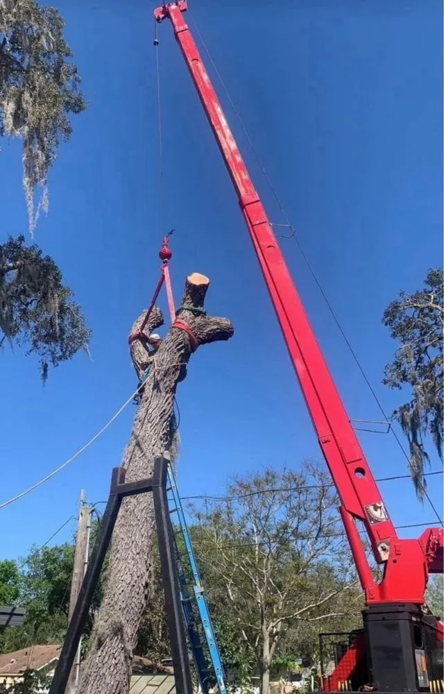 Local residential landscaping in Saint Petersburg, FL - Designer Cut Lawn & Tree Service