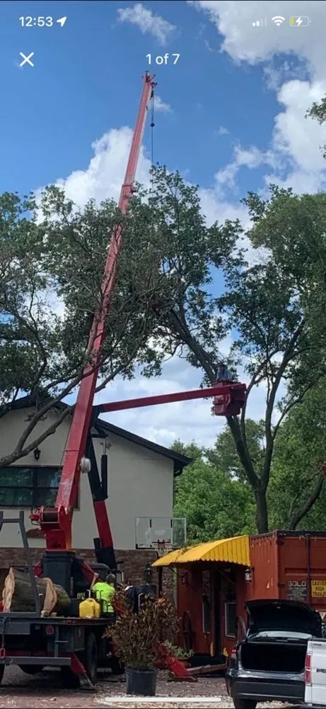 Professional garden landscaping in Saint Petersburg, FL by Designer Cut Lawn & Tree Service