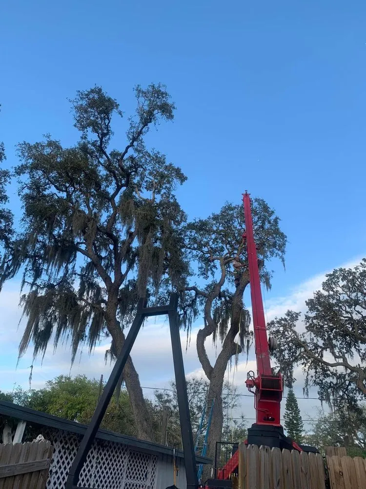 Local landscape design in Saint Petersburg, FL by Designer Cut Lawn & Tree Service