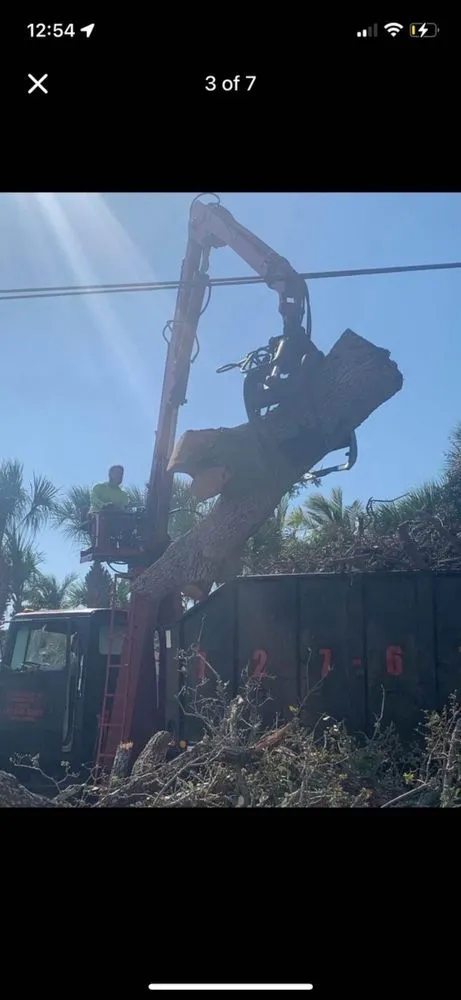 Trusted landscaping services experts serving Saint Petersburg, FL - Designer Cut Lawn & Tree Service