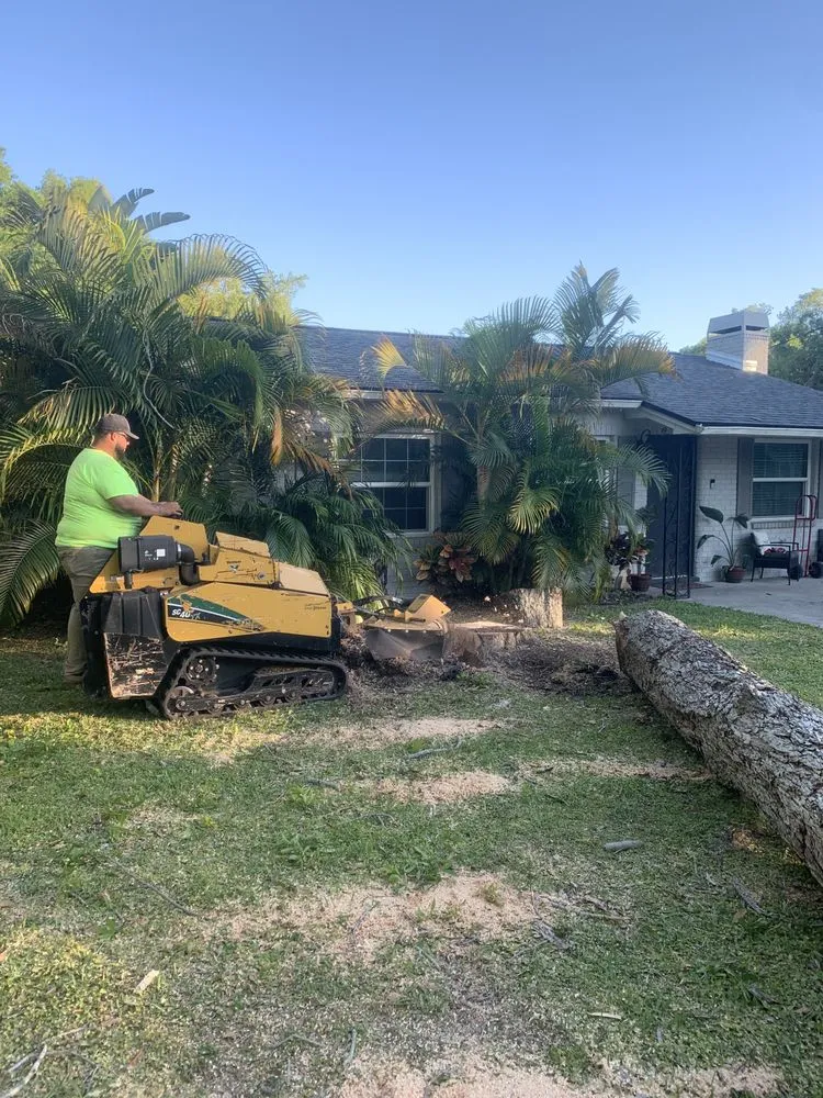 Reliable yard cleanup service for year-round maintenance in Saint Petersburg, FL by Designer Cut Lawn & Tree Service
