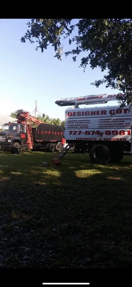 Top-rated outdoor landscaping near you in Saint Petersburg, FL by Designer Cut Lawn & Tree Service