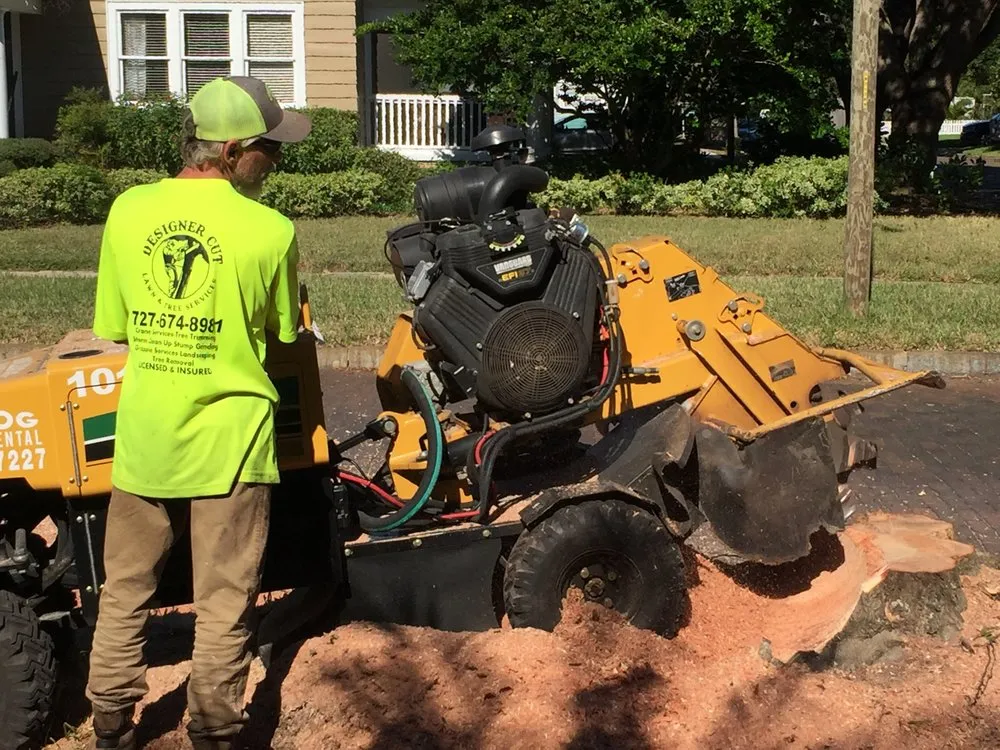 Reliable landscape design in Saint Petersburg, FL by Designer Cut Lawn & Tree Service