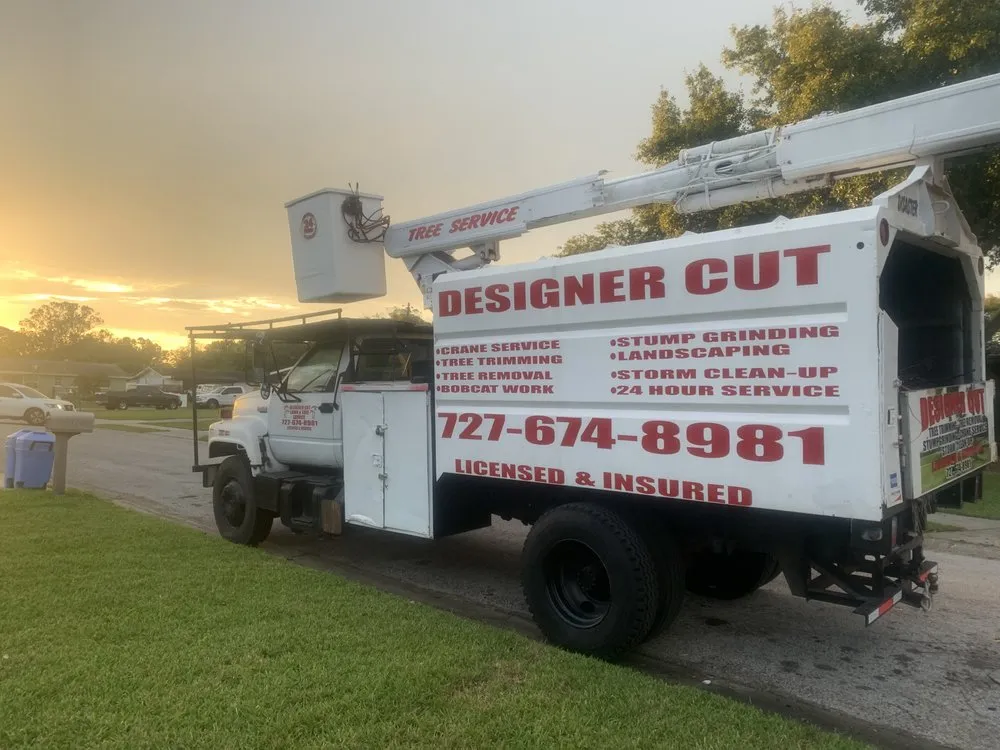 Custom lawn mowing service experts serving Saint Petersburg, FL - Designer Cut Lawn & Tree Service