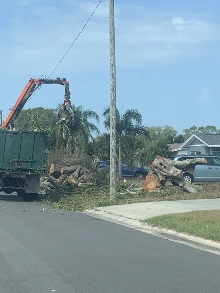 Trusted outdoor landscaping in Saint Petersburg, FL by Designer Cut Lawn & Tree Service