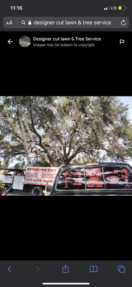 Affordable lawn mowing service in Saint Petersburg, FL by Designer Cut Lawn & Tree Service