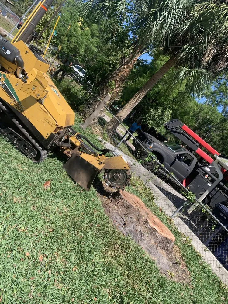 Professional lawn care service experts serving Saint Petersburg, FL - Designer Cut Lawn & Tree Service