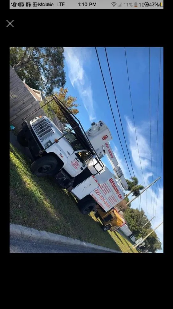 Affordable outdoor landscaping near you in Saint Petersburg, FL by Designer Cut Lawn & Tree Service
