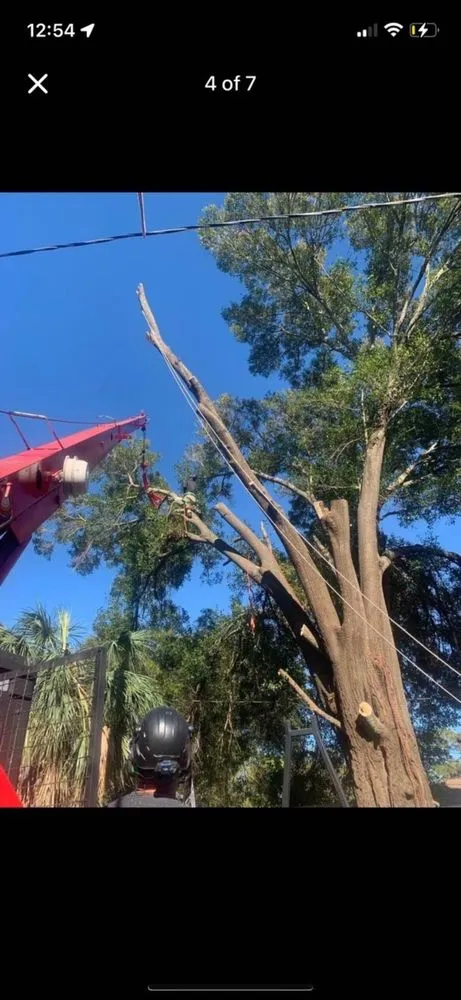 Trusted garden landscaping near you in Saint Petersburg, FL by Designer Cut Lawn & Tree Service