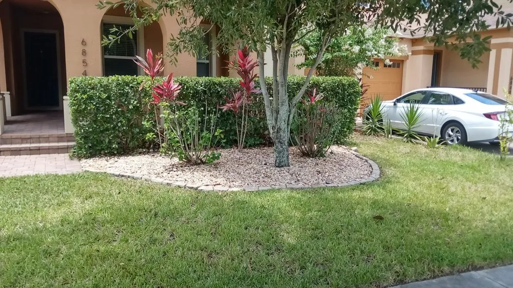 Affordable lawn mowing service near you across Orlando, FL - Designer Cuts Lawn Maintenance