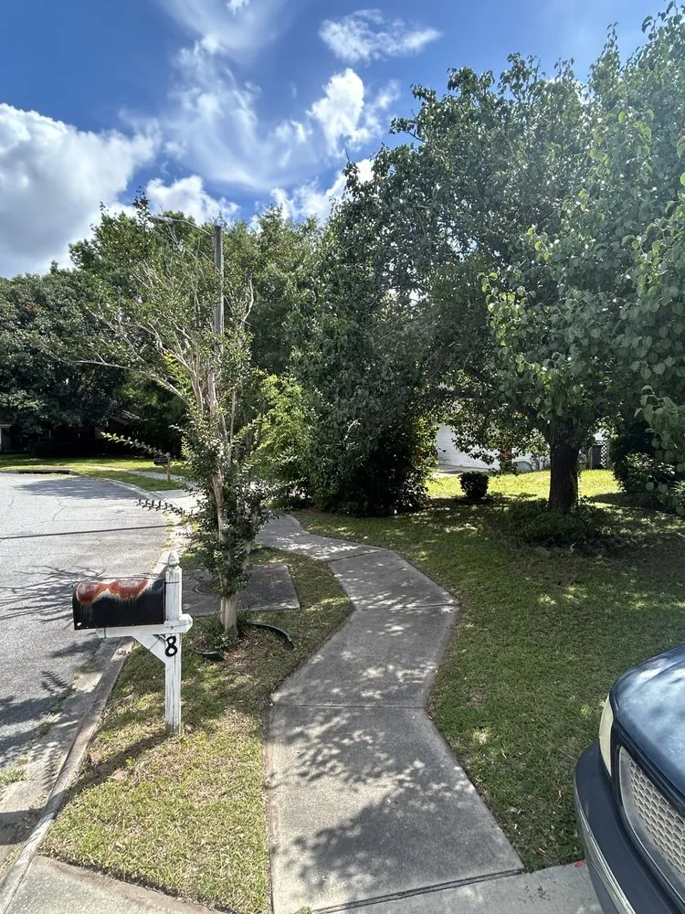 Trusted yard cleanup service in Savannah, GA by Designer Landscape