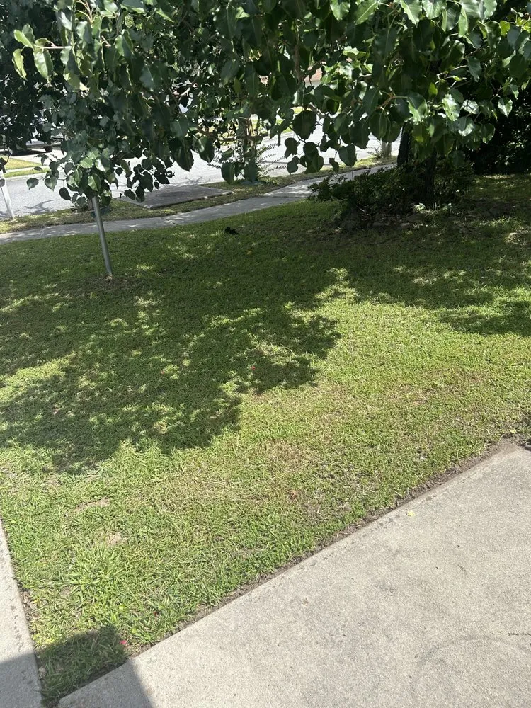 Top-rated lawn care service for outdoor upgrades in Savannah, GA by Designer Landscape