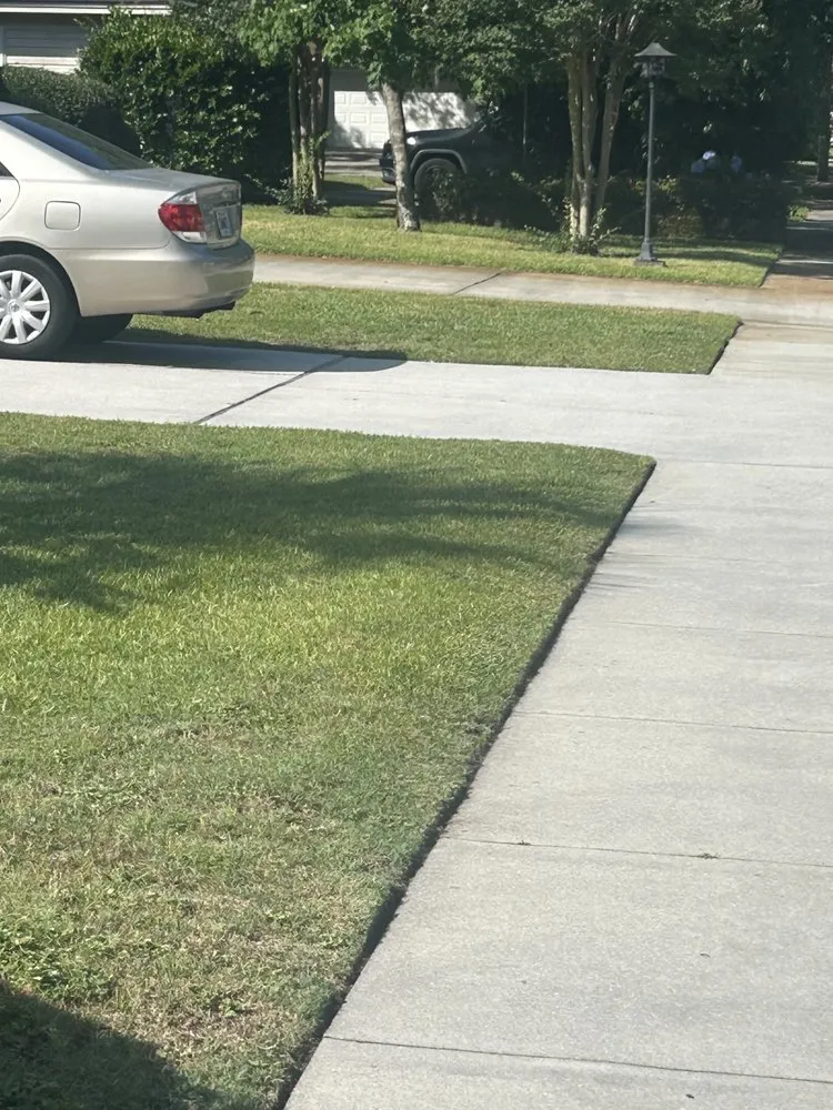 Expert yard cleanup service in Savannah, GA - Designer Landscape