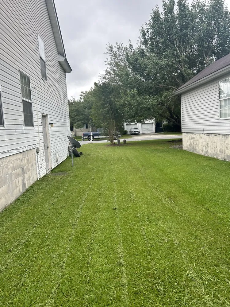 Trusted landscaping services for homes in Savannah, GA by Designer Landscape