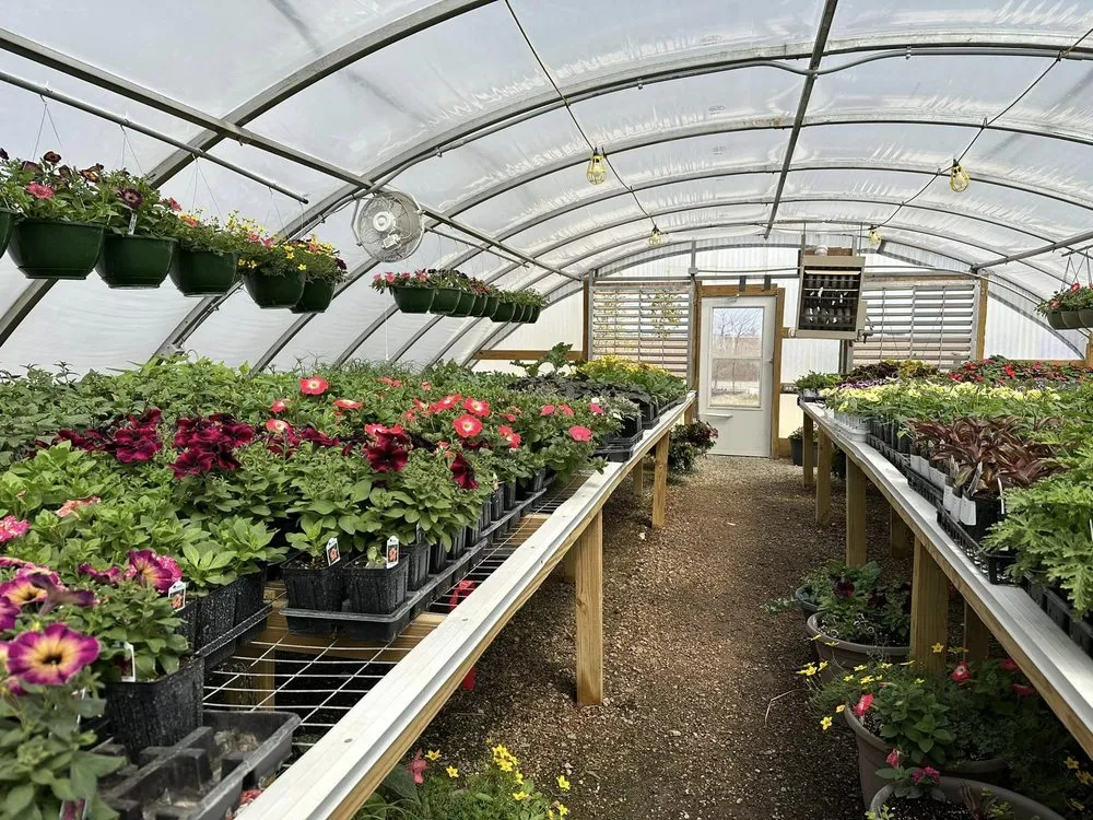 Top-rated landscaping services experts serving Farmersville, IL - Designer Landscapes