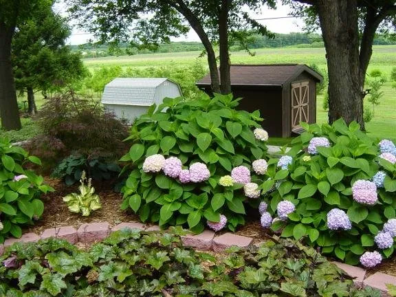 Custom yard maintenance in Farmersville, IL by Designer Landscapes