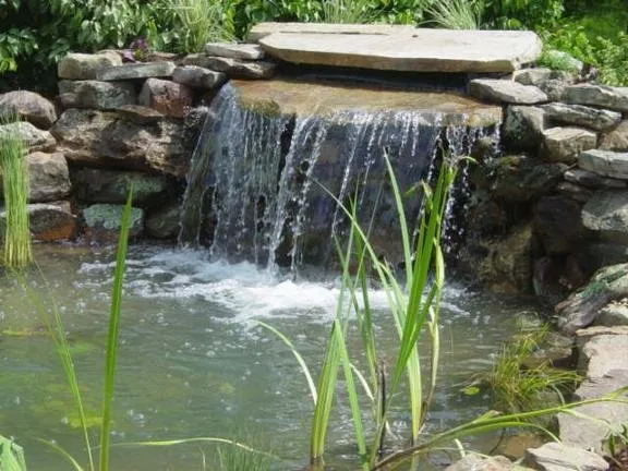 Top-rated yard maintenance in Farmersville, IL - Designer Landscapes