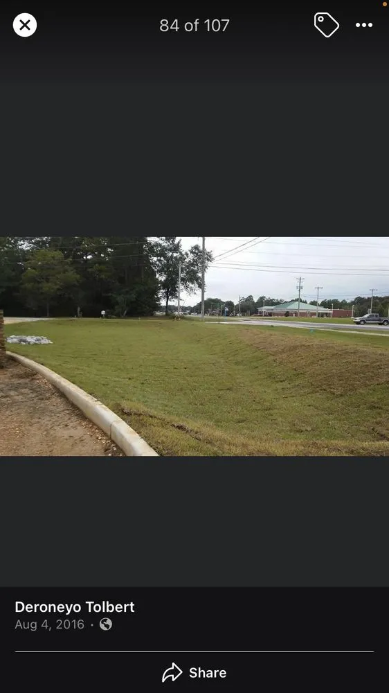 Reliable landscape design for beautiful yards across Loxley, AL - Designer Landscaping