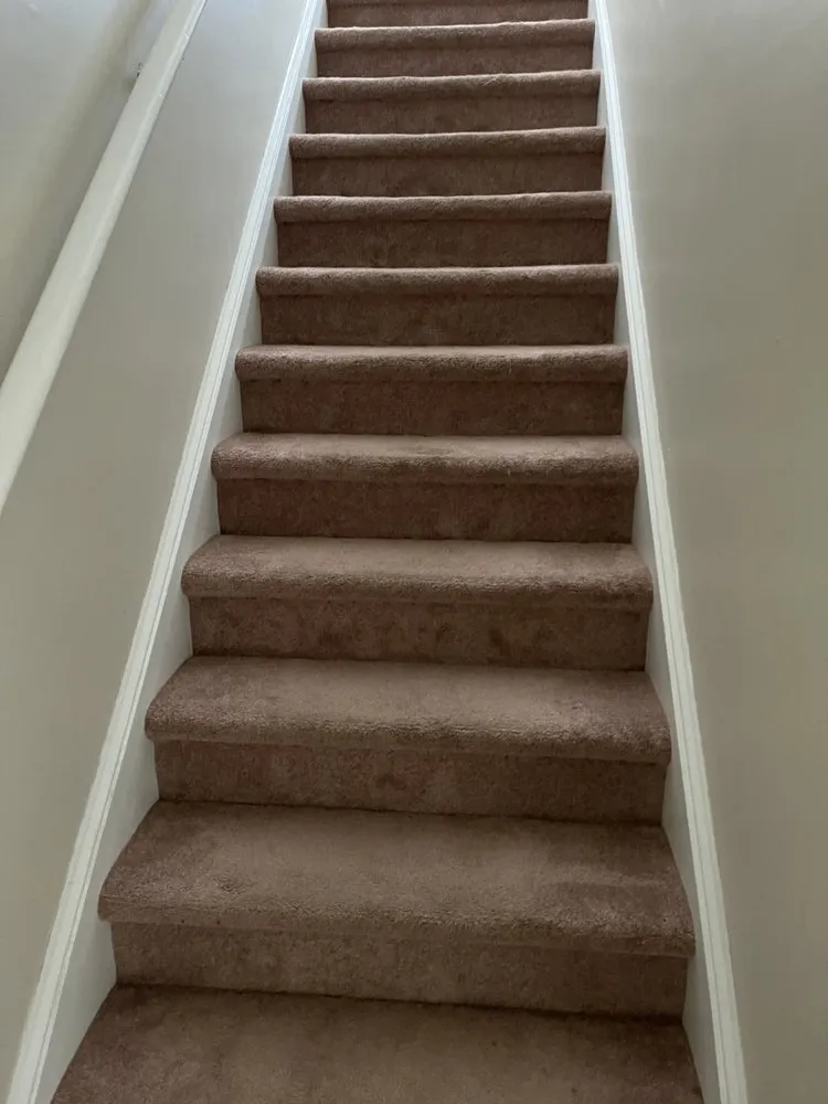 Top-rated lawn care service in Lugoff, SC by Designer Lawn & Tree