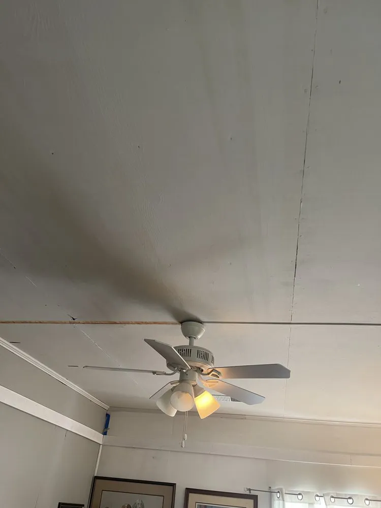 Custom yard cleanup service experts serving Lugoff, SC - Designer Lawn & Tree