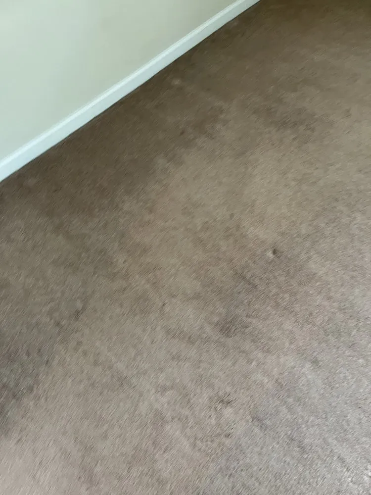 Affordable garden landscaping in Lugoff, SC - Designer Lawn & Tree