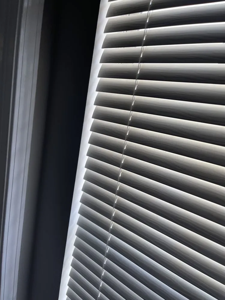 Custom outdoor landscaping experts serving Lugoff, SC - Designer Lawn & Tree