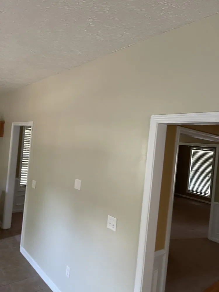 Top-rated outdoor landscaping for outdoor upgrades across Lugoff, SC - Designer Lawn & Tree