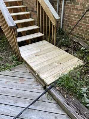 Designer Lawn & Tree Logo