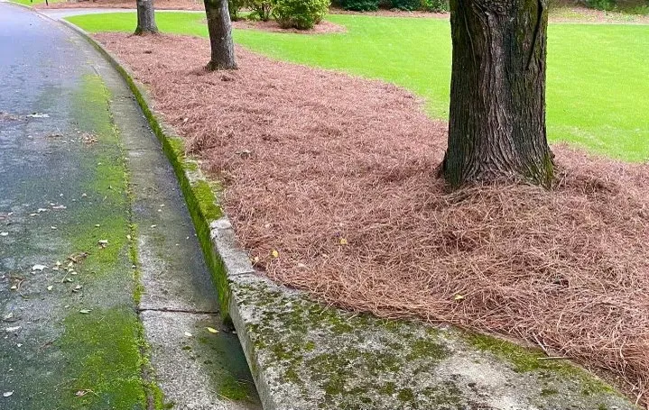 Expert residential landscaping for beautiful yards across Woodstock, GA - Designer Lawn Care