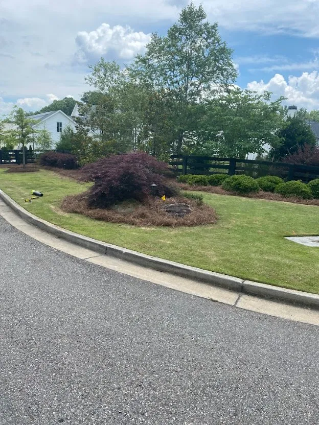 Expert yard maintenance for year-round maintenance across Woodstock, GA - Designer Lawn Care