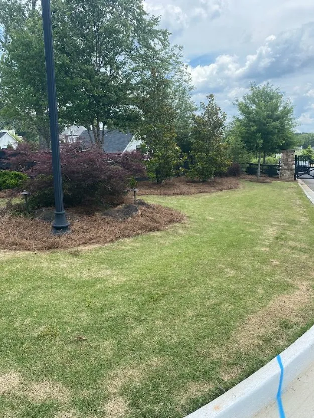 Affordable residential landscaping near you in Woodstock, GA by Designer Lawn Care